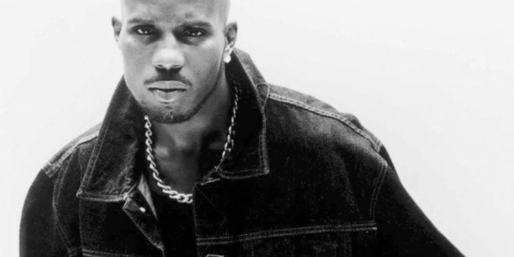 DMX PIC