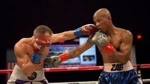 boxer zab judah