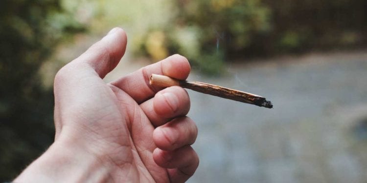 US Coroner Record First Case Of THC Marijuana Death