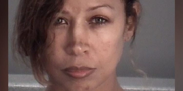 Stacey Dash Arrested For Domestic Battery