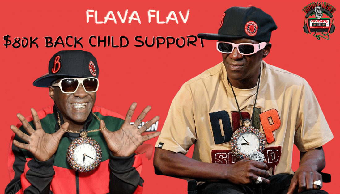Flavor Flav Owes $80K In Back Child Support