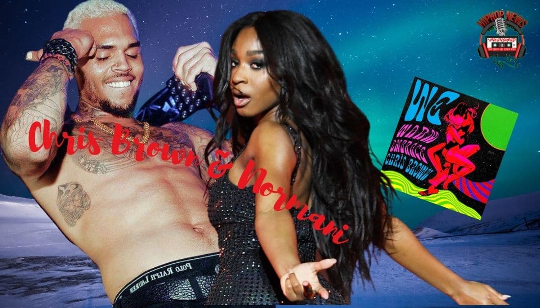 Chris Brown And Normani Steamy Hot On WE (Warm Embrance)