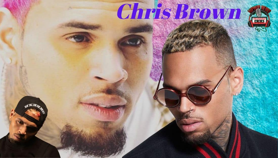 Chris Brown Banned From Awards Shows?