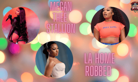 Megan Thee Stallion Robbed In L.A.