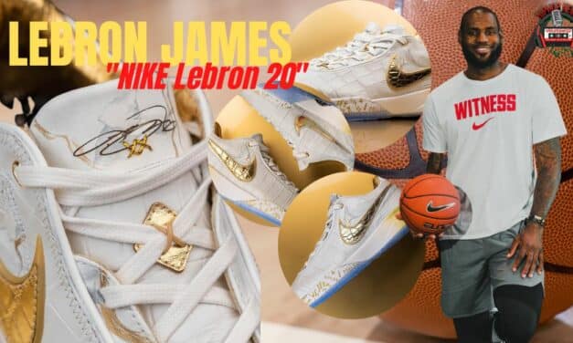 Lebron James Special Nike Sneakers