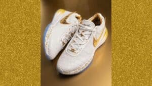 Lebron James special Nike shoe