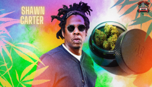 Jay-Z Cannabis Company