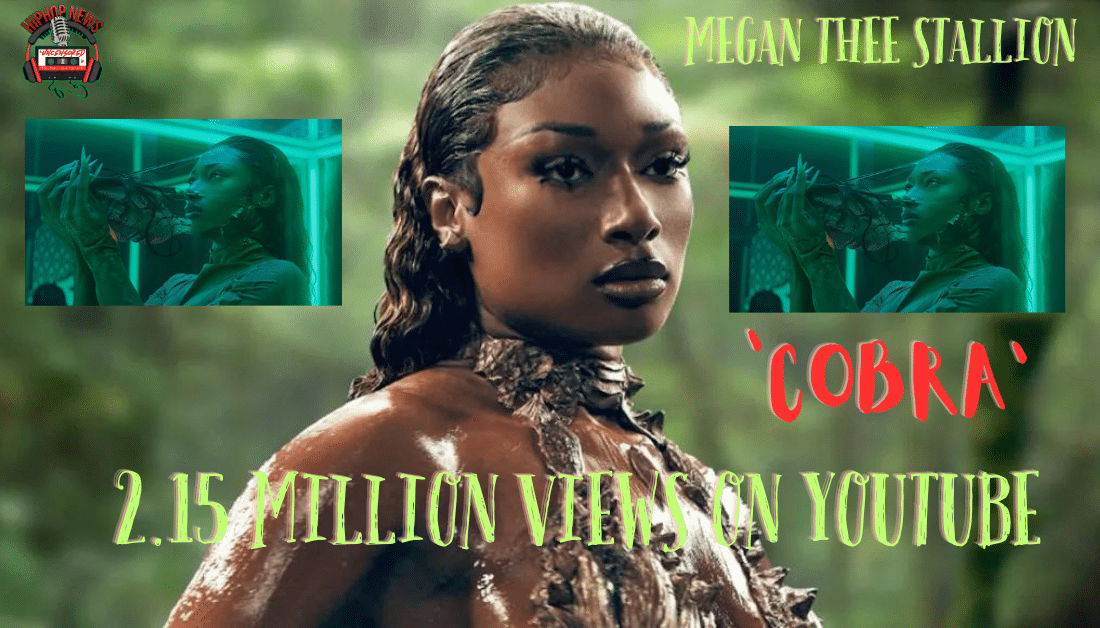 Megan Thee Stallion’s “Cobra” Video Breaks Youtube Record