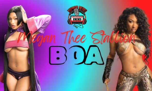 Megan Thee Stallion’s ‘Boa’ Music Video wows fans with animated gaming theme