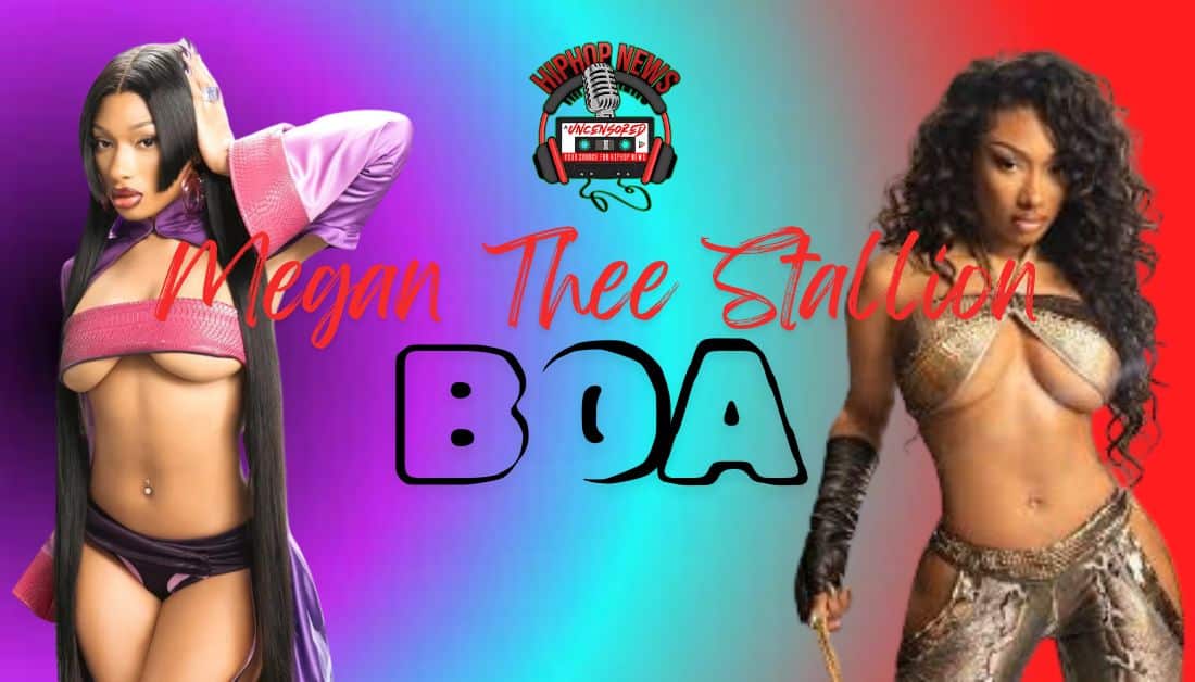 Megan Thee Stallion’s ‘Boa’ Music Video wows fans with animated gaming theme