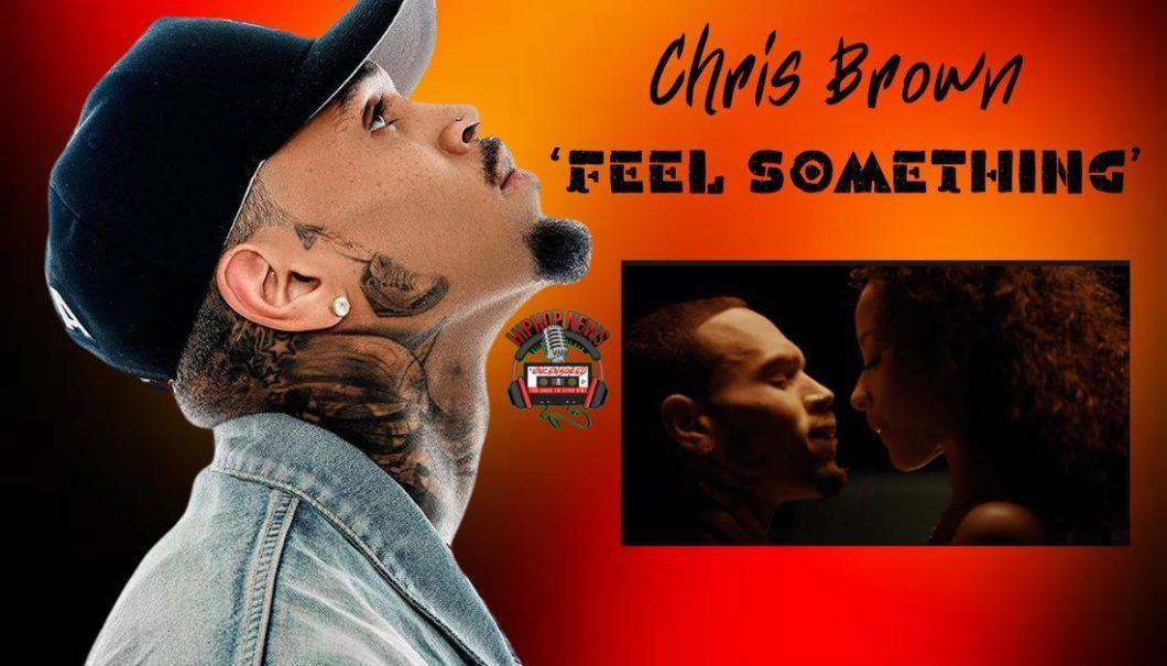 Chris Brown and Fans ‘Feel Something’ With New MV