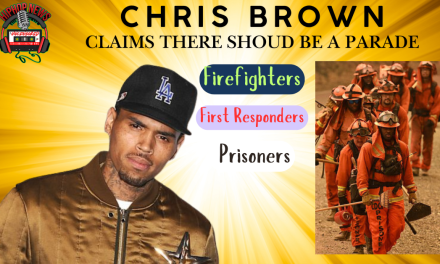 Singer Chris Brown Calls For Hero’s Parade Amid LA Flames