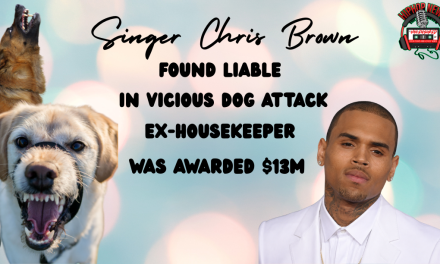 Ex-Housekeeper Of Singer Chris Brown Awarded $13M In Dog Attack
